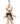 CHARM TEDDY